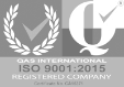 Logo Iso 9001